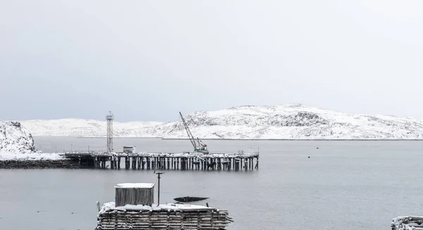 Arktik Okyanusu parkında Rusya