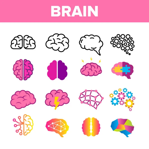 Gehirn, Neurologie Organvektor lineare Symbole gesetzt — Stockvektor