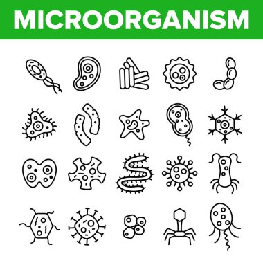 Mikroorganizmalar Hücreler İnce Çizgi Simgeler Vektör Seti