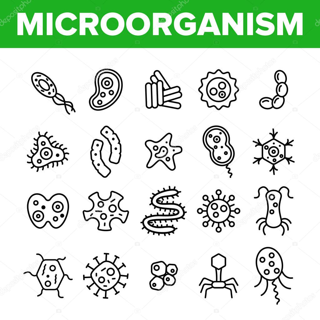 Microorganisms Cells Thin Line Icons Vector Set