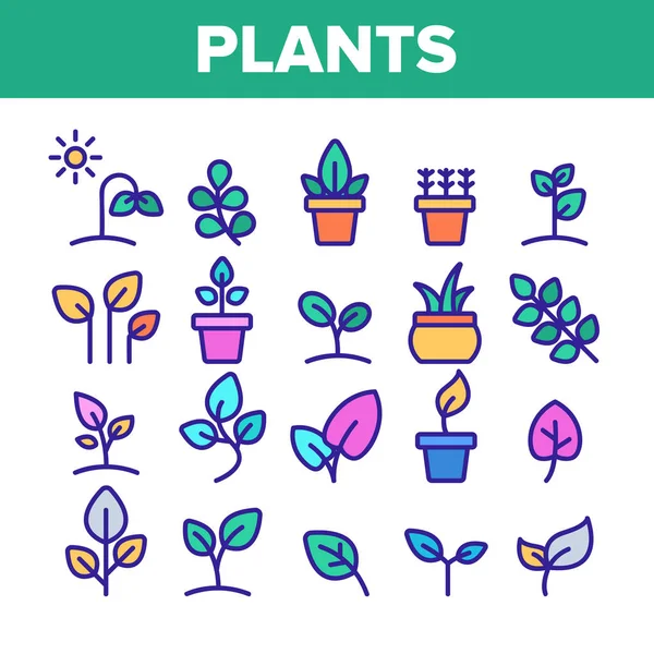 颜色 不同的植物符号图标设置矢量 — 图库矢量图片