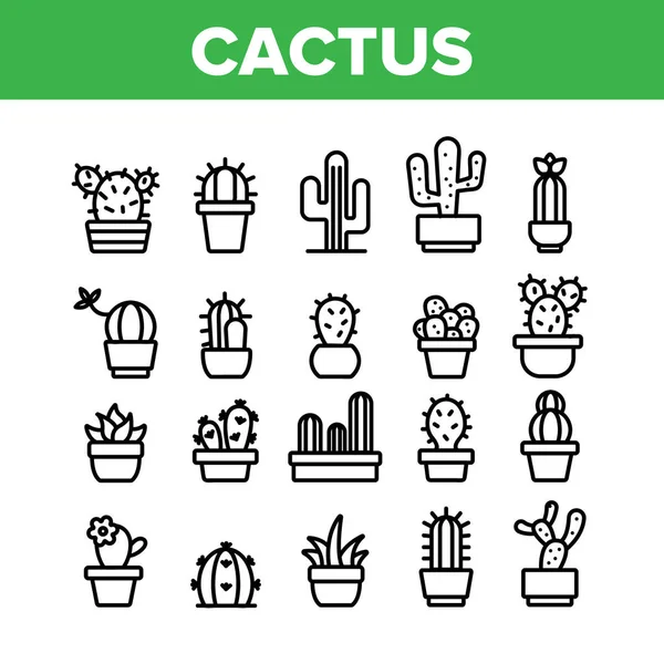 Set di icone della collezione di piante domestiche di cactus Vettore — Vettoriale Stock