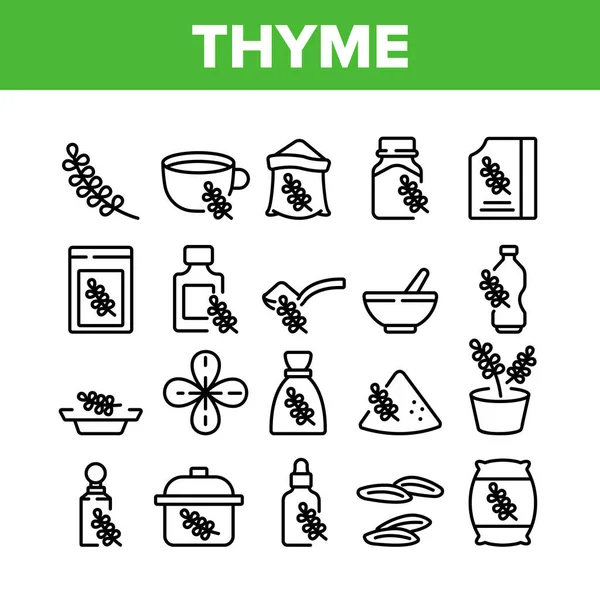 Thyme Plant Coleção Produtos Ícones Set Vector Filial Tomilho Erva — Vetor de Stock