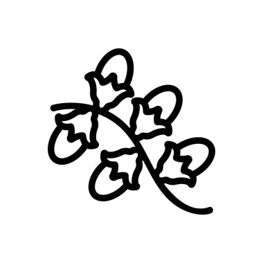 Böğürtlen ikon vektörlü jojoba dalı. Böğürtlenli kokoba dalı. izole edilmiş sınır sembolü çizimi