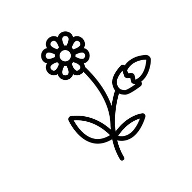 Papatya çiçeği ikon vektörü açıyor. Çiçek açan papatya çiçeği işareti. izole edilmiş sınır sembolü çizimi