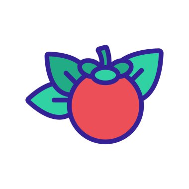 Mangosteen citrus meyve ikonu vektörü. Mangosteen narenciye burcu. renk sembolü çizimi