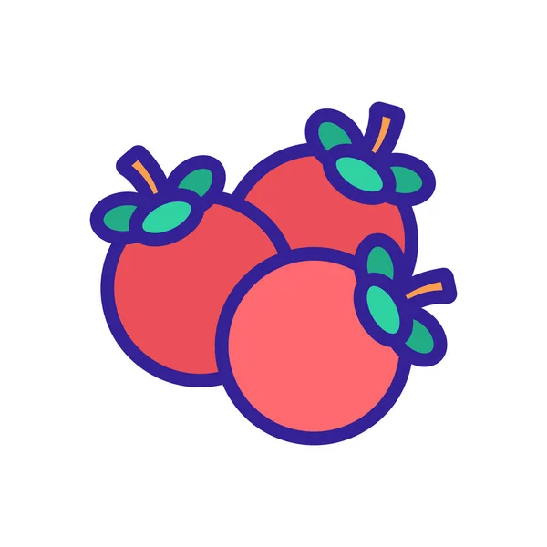 Διάνυσμα Εικονιδίου Σωρού Φρούτων Mangosteen Mangosteen Σημάδι Σωρό Φρούτων Έγχρωμη — Διανυσματικό Αρχείο