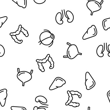 Organlar Anatomik Vektör Kusursuz Şekilsiz İnce Çizgili Çizgi Çizimi