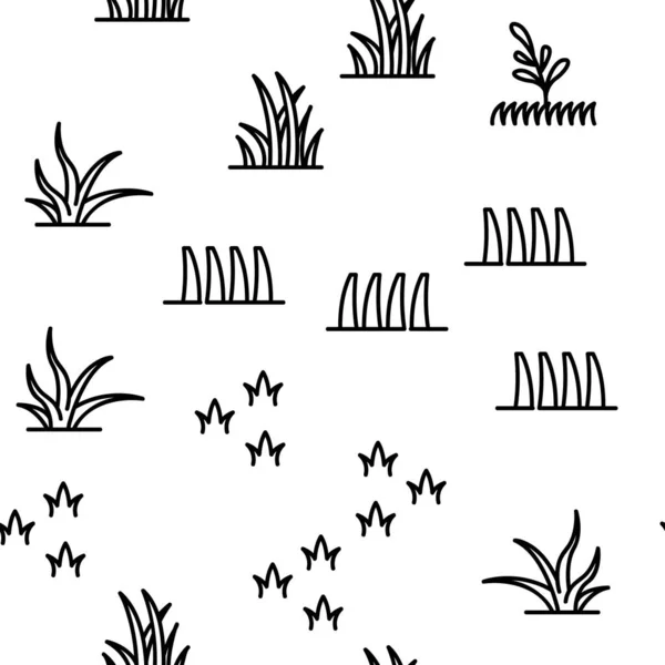 Χόρτο Λιβάδι Φυτό Διάνυσμα Χωρίς Ραφή Μοτίβο Λεπτή Γραμμή Εικονογράφηση — Διανυσματικό Αρχείο
