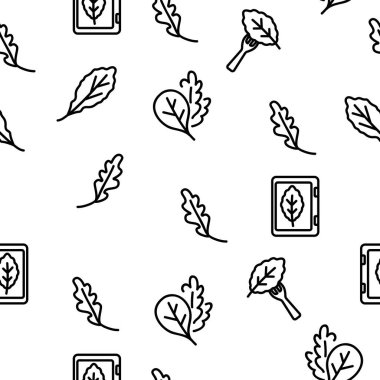 Arugula ya da Rucola Vektörü Kusursuz Şablon İnce Çizgili Çizgi Çizimi