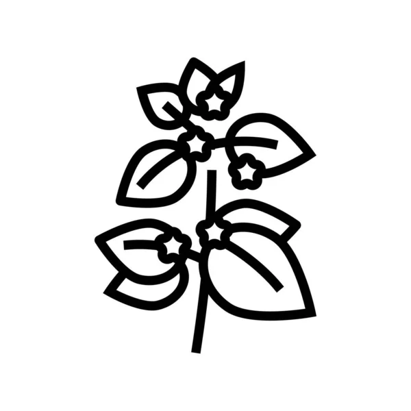 Мелисса Травяная Ароматерапия Линии Иконок Вектор Знак Мелиссы Травяная Ароматерапия — стоковый вектор