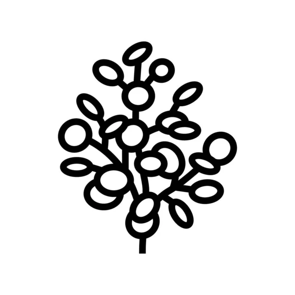 Eukalyptus Aromatherapie Liniensymbolvektor Eukalyptus Aromatherapie Zeichen Isolierte Kontur Symbol Schwarze — Stockvektor