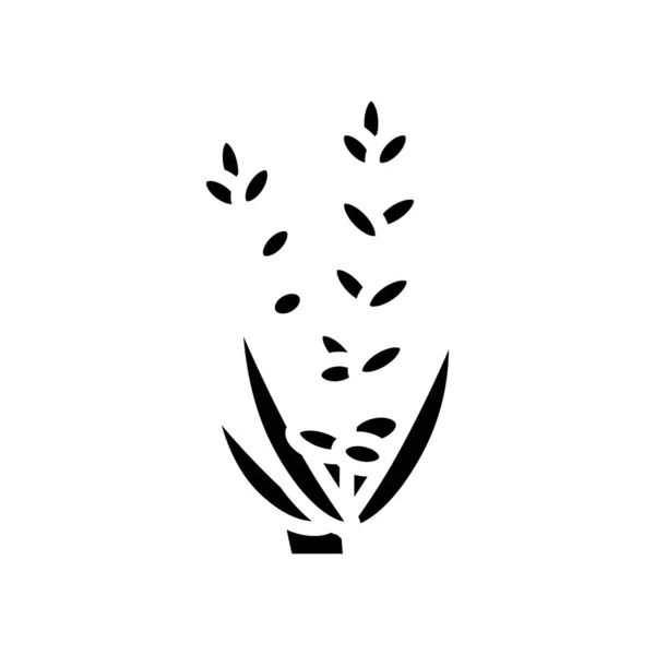 Λεβάντα Λουλούδι Αρωματοθεραπεία Glyph Διάνυσμα Εικονίδιο Σημάδι Αρωματοθεραπείας Άνθη Λεβάντας — Διανυσματικό Αρχείο