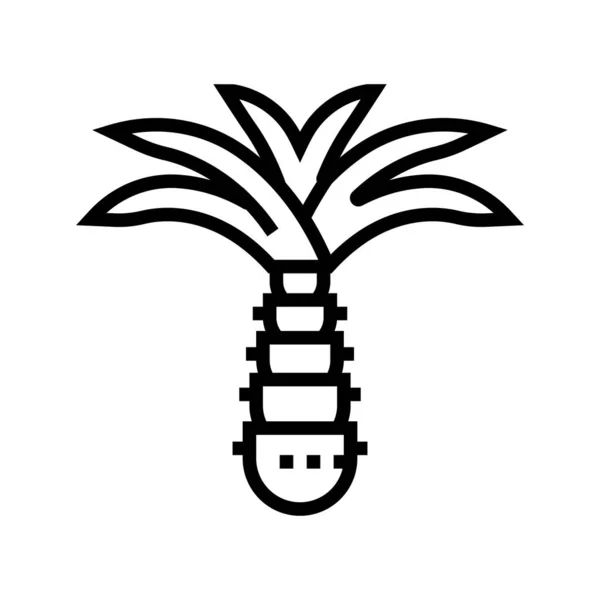 Palm Träd Linje Ikon Vektor Palmträdsskylt Isolerad Kontur Symbol Svart — Stock vektor