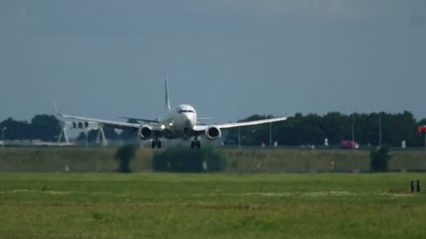 Boeing 737 de las aerolíneas Transavia aterrizando en el aeropuerto de Schiphol — Vídeo de stock