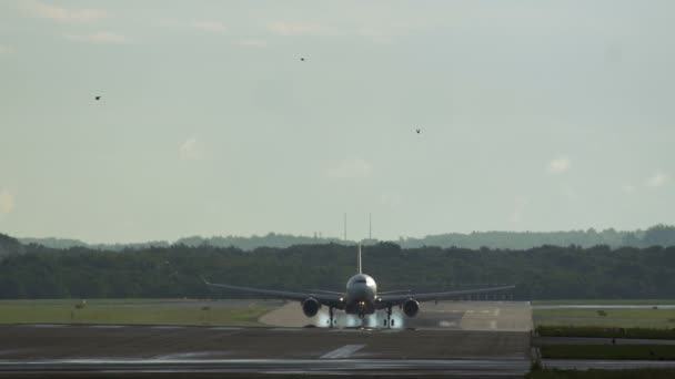 Széles törzsű két hajtóműves repülőgép leszállás — Stock videók