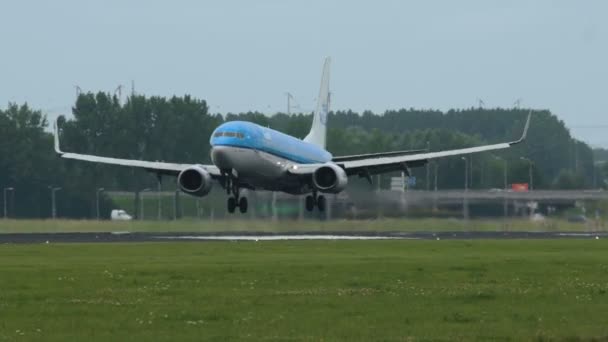 Boeing 737 της Klm αεροπορικές εταιρείες προσγειώνονται στο αεροδρόμιο του Ντίσελντορφ — Αρχείο Βίντεο