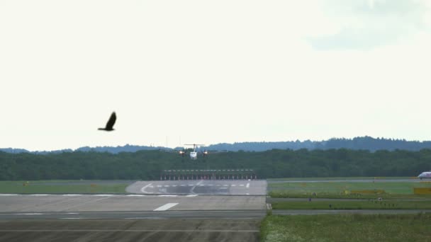 Légcsavaros Bombardier Dash 8 közeledik a düsseldorfi nemzetközi repülőtér — Stock videók