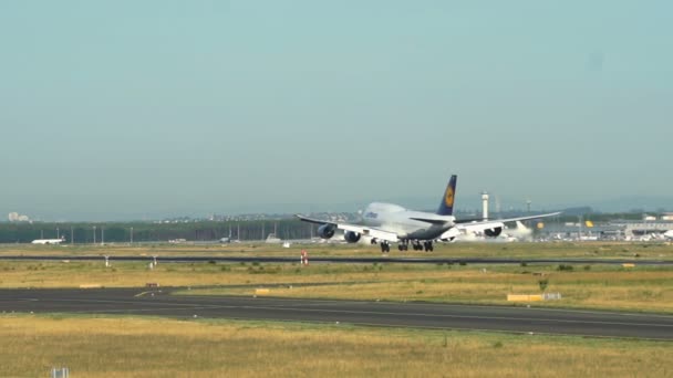 Boeing 747 de Lufthansa aterrizando en el aeropuerto de Frankfurt am Main — Vídeos de Stock