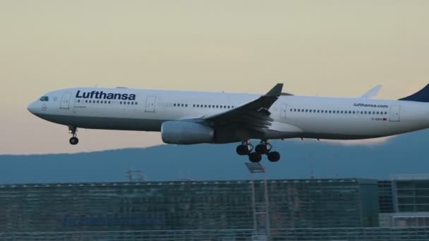 Airbus A330 de Lufthansa aterrizando en el aeropuerto de Frankfurt am Main — Vídeos de Stock