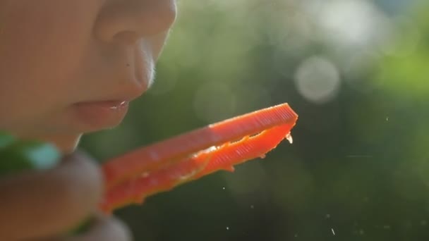 Menina soprando bolhas de sabão — Vídeo de Stock