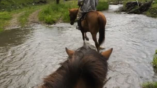 Monter à cheval à travers le ruisseau — Video