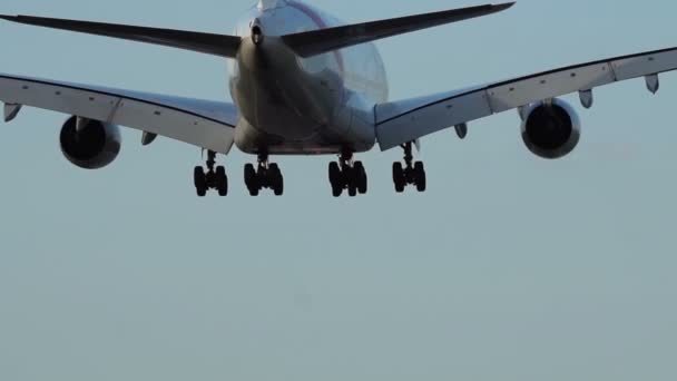 Широкофюзеляжный самолет, прибывающий в аэропорт — стоковое видео