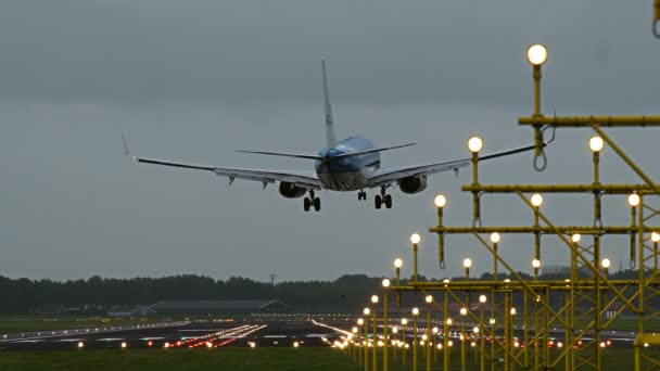 Boeing 737 of KLM airlines landing in the evening — Stock Video