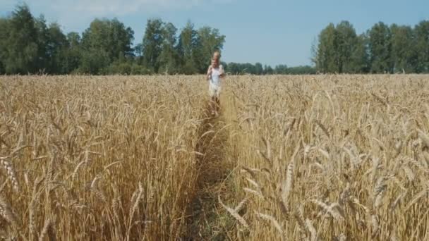 父が麦畑で肩に小さな娘を保持します。 — ストック動画