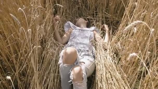 Chica tendida en el suelo en el campo de trigo — Vídeos de Stock
