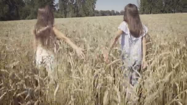 Twee jonge meisjes lopen in tarweveld — Stockvideo
