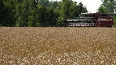 Hasat makine alanında çalışan