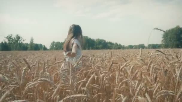 Молодая женщина ходит по пшеничному полю — стоковое видео