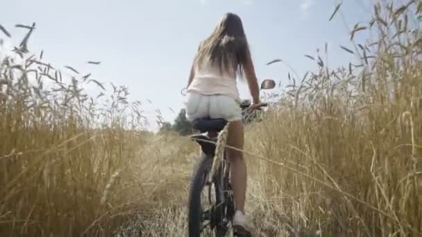 Женщина на велосипеде по пшеничному полю — стоковое видео