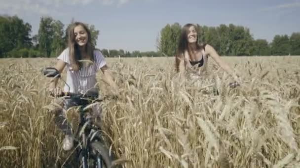 Kvinnor på cyklar rida i vetefält — Stockvideo