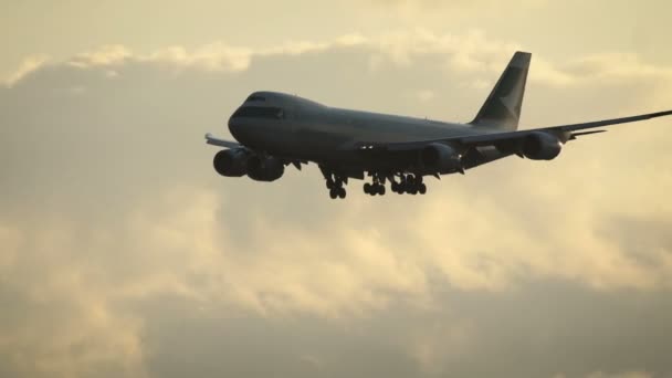 Cathay Pacific Cargo Boeing 747 zbliża się o wschodzie słońca — Wideo stockowe