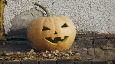 Cadılar Bayramı Balkabağı Close-Up