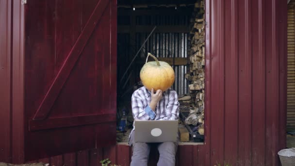 Person with pumpkin on head use laptop — Stock Video