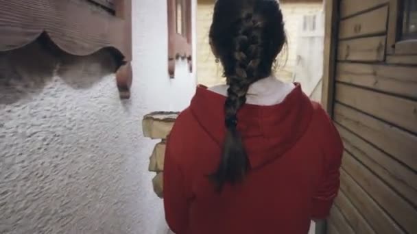 Mujer lleva un brazo lleno de leña — Vídeos de Stock