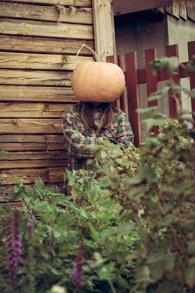 Person wear pumpkin on head. Standing in the middle of the garden. Scarry concept of hallowen. Rural scene