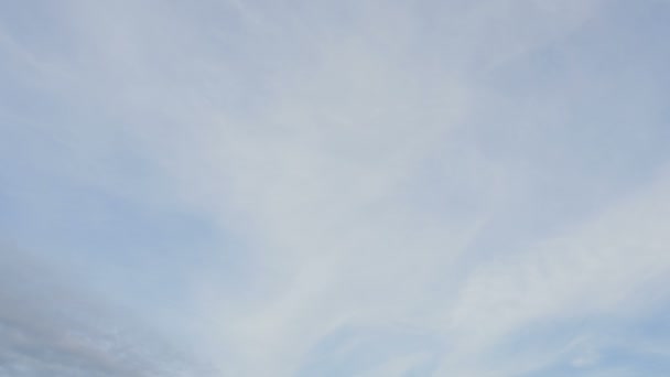 汉莎航空公司的空中客车 a330-343 上午接近 — 图库视频影像