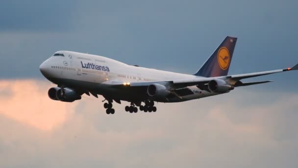 Приближается Boeing 747-430 lufthansa — стоковое видео