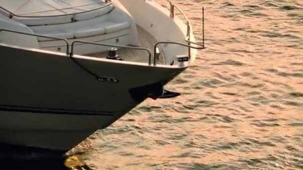 Les gens naviguant sur le yacht à l'heure d'or — Video