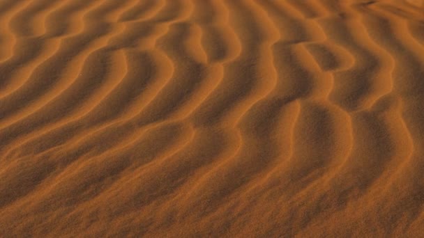 Arena roja en el desierto — Vídeo de stock