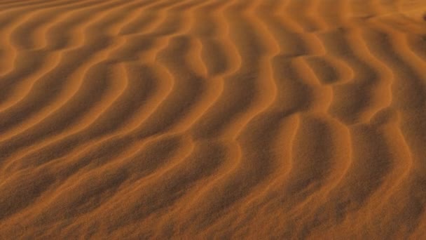 Красный песок в пустыне — стоковое видео