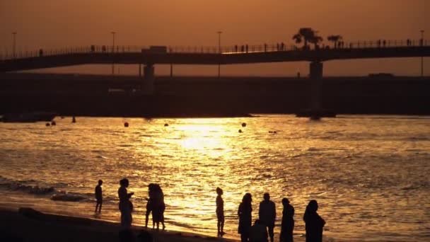 Silhouette di folla sulla spiaggia al tramonto — Video Stock