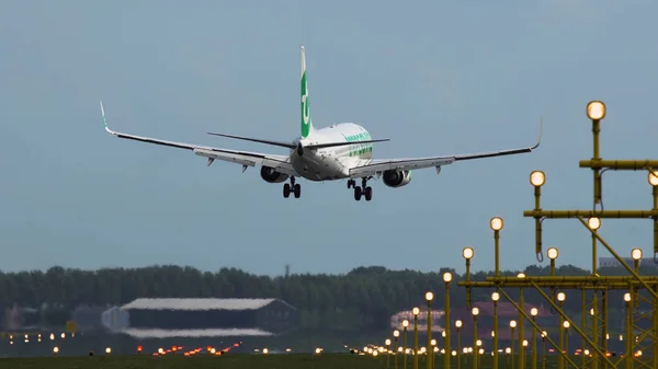 Amsterdam, Hollanda - 27 Temmuz 2017: Arka görünümü Boeing 737 Transavia havayolları Amsterdam Schiphol Havaalanı'na yaklaşıyor. Ön iniş ışıkları