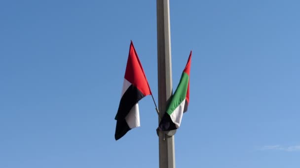 Эмиратские флаги, размахивающие в замедленной съемке — стоковое видео