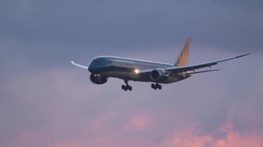 Boeing 787 Dreamliner Vietnam havayolları