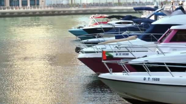 Yates amarrados en muelle en Dubai — Vídeo de stock